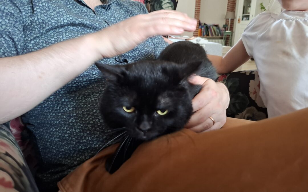 Findus