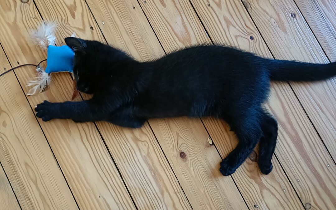 Ares