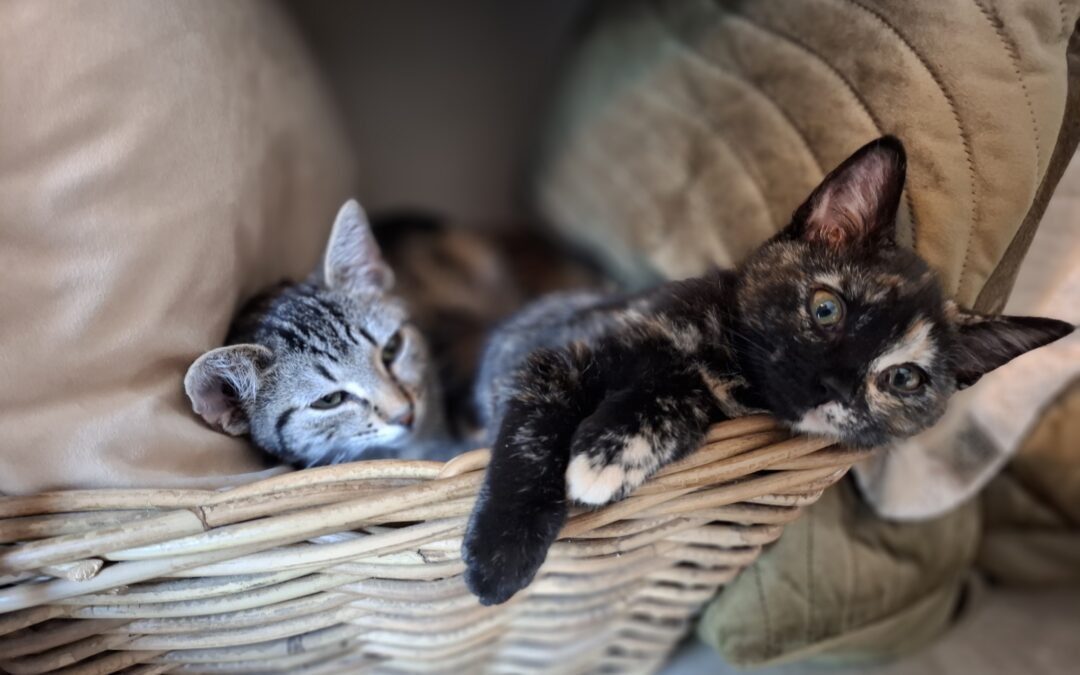 Mia en Ollie
