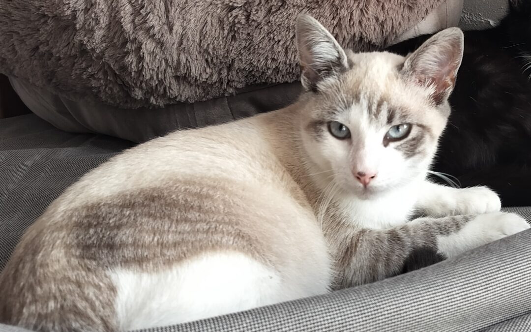 Nina
