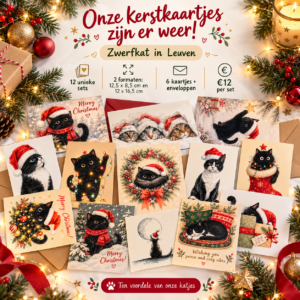 Kerstkaartjes met enveloppe 6x