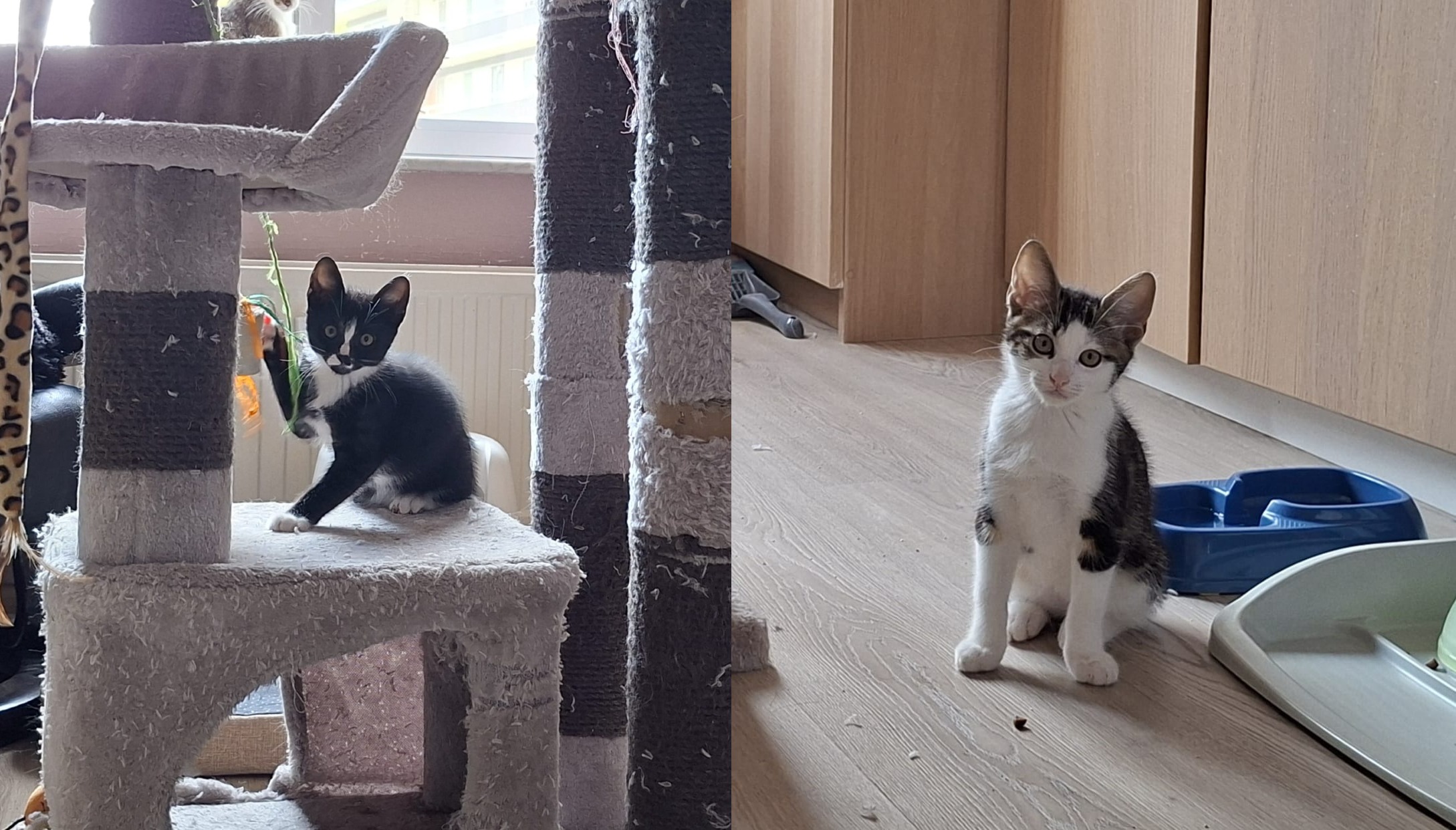 Oliver en Peaceful