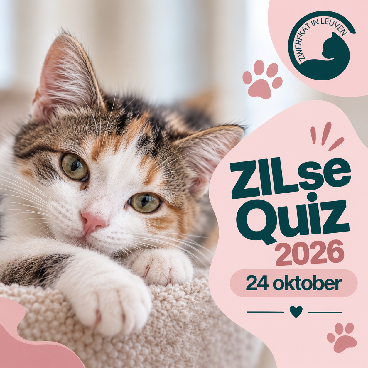 Zilse QUIZ