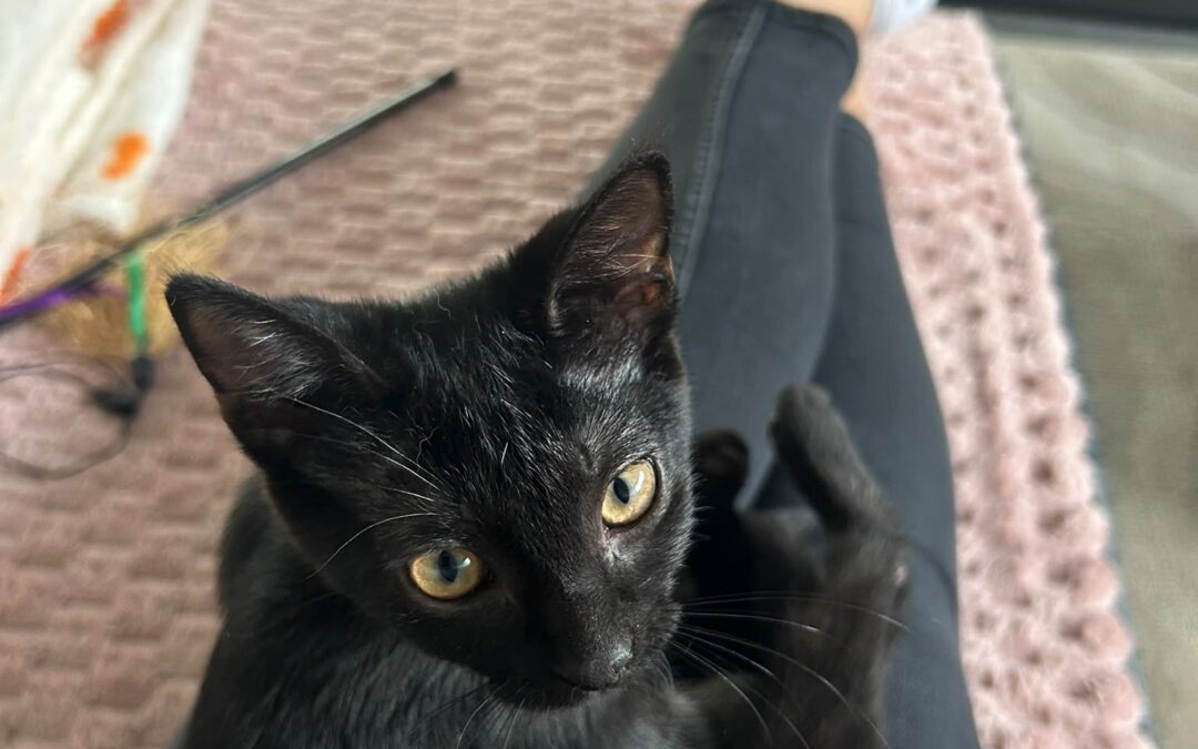 Coco